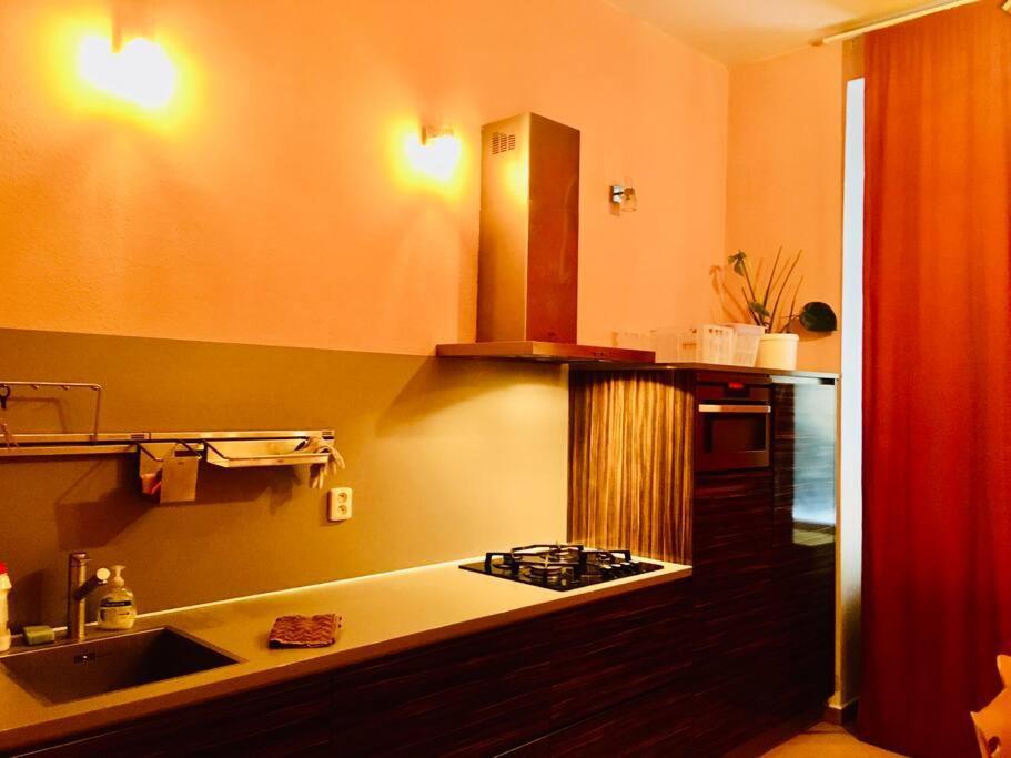 Hotel Apartment In Prague 2 Square Dış mekan fotoğraf